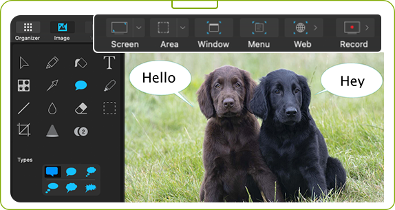 Screenshots, Screen Recording, and Image Editing tools